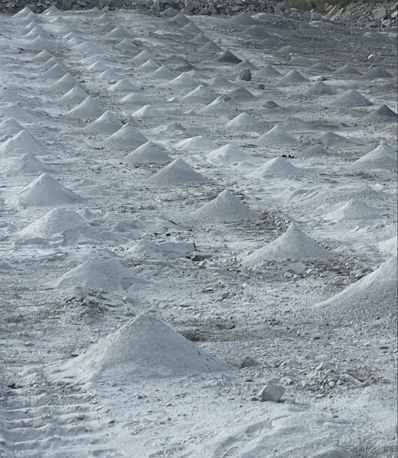 Drilled blast pattern with rows of drill cuttings